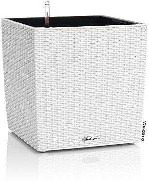 Lechuza Cube Cottage 50 White, Self-Watering Square Planter, H19.3 L19.3 W19.3 in by LECHUZA