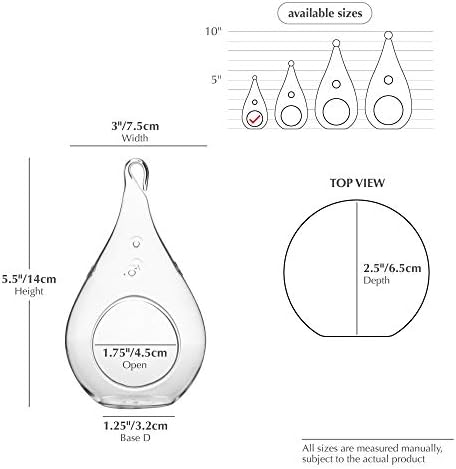 WGV Glass Hanging Plant Terrarium Bulk, Width 3", Height 5.5", Teardrop DIY Air Succulent Planter Clear Tea Light Votive Candle Holder, Wedding Event Office Home Outdoor Decor, 6 Pieces - Image 2