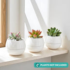 Willowy 3.5 Inch Small Succulent Pots - 3pk, Mini/Small White Ceramic Succulent Pots - No Plants Included - Image 5