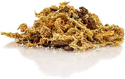 Premium Sphagnum Moss, Perlite and New Zealand Pine Bark Blend for Carnivorous Plants - 10 Quart - Perfect for Venus Fly Traps, Pitcher Plants, Sarracenia, Butterworts, and Sundews by GARDENERA - Image 2