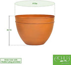 Achla Designs Small Planting Pot, Burnt Sienna - Image 2