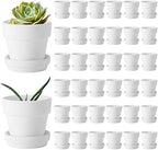 Lallisa 36 Pieces 3 Inch Mini Terracotta Pots with Saucers and Drainage Hole White Paintable Pottery Small Clay Pots for Crafts Mini Planters for Succulents Cactus Flowers Garden Crafts Wedding Decor by Lallisa