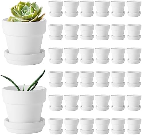 Lallisa 36 Pieces 3 Inch Mini Terracotta Pots with Saucers and Drainage Hole White Paintable Pottery Small Clay Pots for Crafts Mini Planters for Succulents Cactus Flowers Garden Crafts Wedding Decor by Lallisa