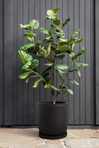 Veradek Mason Series Lima Planter Tray - Image 3