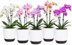 5.7Inch White Orchid Pots with Holes for Repotting, Double-Layer Plastic Self Watering Flower Pots for Indoor Plants with Drainage Holes, Clear Orchid Pot Match Decorative Orchid Container, 5 Packs by QCQHDU