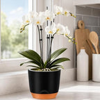 QCQHDU 7.2Inch Orchid Pots with Holes for Repotting, Double-Layer Plastic Self Watering Flower Pots for Indoor Plants with Drainage Holes, Clear Orchid Pot Match Decorative Orchid Container, 3 Packs - Image 5