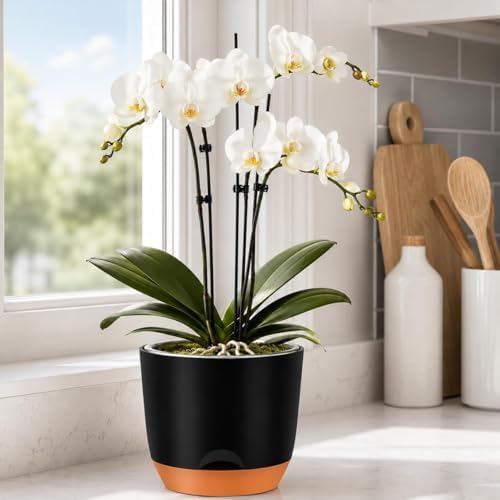 QCQHDU 7.2Inch Orchid Pots with Holes for Repotting, Double-Layer Plastic Self Watering Flower Pots for Indoor Plants with Drainage Holes, Clear Orchid Pot Match Decorative Orchid Container, 3 Packs - Image 5