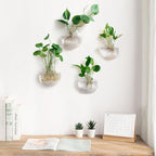 Mkono Wall Hanging Glass Terrariums Planter Flower Vase for Hydroponics Plants - Image 2