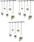 Umbra Triflora Hanging Planter, Set of 5, White (Pack of 3) by Umbra