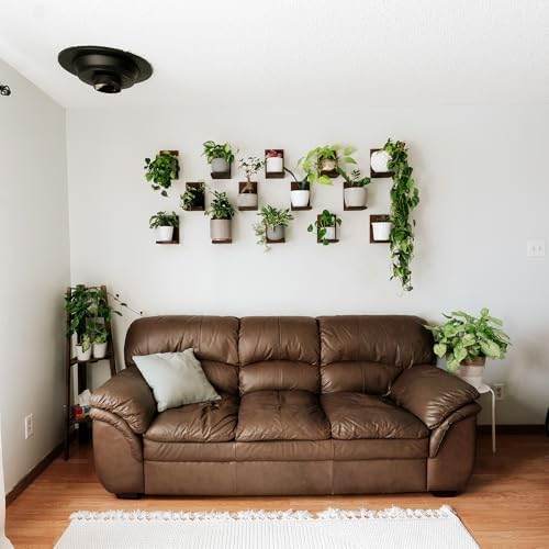 Daniel's Plants 3 Pack Midcentury Modern L Shaped Floating Shelves | Wall Mounted Plant Shelf Kit | Solid Wooden Shelf | 3 Shelves (Woodland Brown) - Image 4