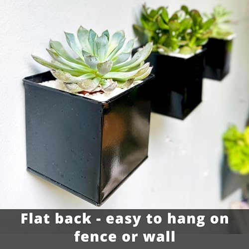 LaLaGreen Indoor Wall Planter (4 in, 6 Pack) Black Square Metal Wall Decor - Image 5