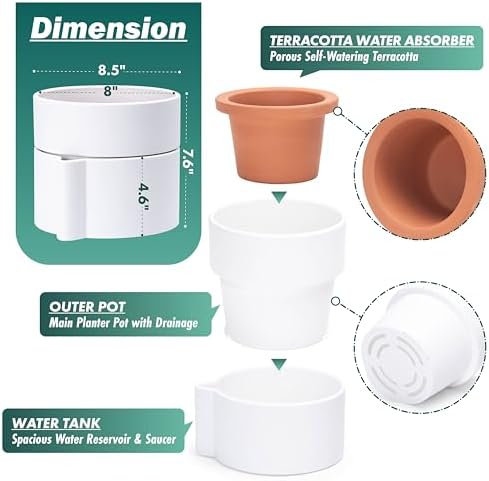 Phoenix Vine 8 Inch Self-Watering Planter Pot with Terracotta Insert, Deep Water Reservoir, and Ceramic-Alike BPA-Free Plastic Planter Pot for Plant, Modern Planter for Houseplants, White, 53-A-T-1 - Image 4