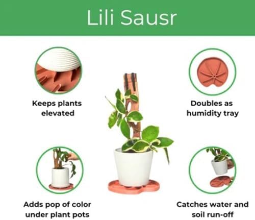 Treleaf Lili Sausr™ – 6" Lily Pad Shaped Plant Saucer & Drip Tray (Set of 4) – Decorative Humidity Tray & Spill Catcher for Indoor Houseplants – 3D Printed Eco-Friendly Design - Green - Image 2