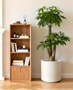 homenote 13.2 Inch Large Plant Pot with Drainage Plug for Indoor Use - Image 4