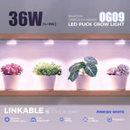 Barrina OG09 Puck Grow Light, 36W(4 x 9W), Pinkish White, Timer, 4 Packs - Image 3
