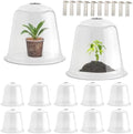 13 Inch Humidity Domes Garden Cloches for Plant Protection, Plant Covers Freeze Protection, Protectors from Animals, Garden Clear Plant Cover with Ventilation Holes 10 Pack by RooTrimmer