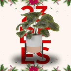 23 Bees Mid-Century Modern Ceramic Planter with Plant Stand Indoor Decorative Plant Pot with Stand in Earthy Beige and White Glaze, Black Metal Stand (Large 16 inch plant pot, Three sizes) (Small) - Image 2