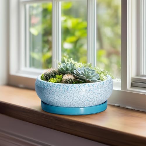 Succulent Pots 8 Inch - Ceramic Bonsai Pots with Drainage Hole and Saucer, Succulent Planters for Indoor Plants Outdoor, Round Shallow Planter Bowl, Porch Decor, Gardening Gifts, Blue - Image 3