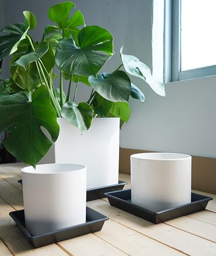 NIMYAU Square Plant Saucer 18 Inch 4 Pack, Plant Stand Plant Trays for Pots Heavy Duty Plastic Plant Saucers for Indoors Outdoors, Flower Pot No Holes Terracotta Plant Lover Gardening Gifts - Image 7