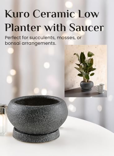 Serene Spaces Living Kuro Ceramic Low Planter with Saucer – Modern Textured Pot for Succulents, Cactus & Indoor Décor, Mini Black Planter, 5" Diameter & 2.9" Tall, Pack of 4 - Image 6