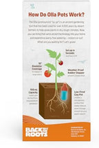 Back to the Roots Self-Watering Terracotta Olla Pot (Pack of 3), 700mL Provides 1 Week of Precision Watering - Image 2