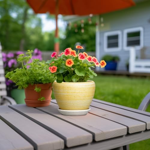 Ceramic Planter, 6 Inch Plant Pots, Textured Yellow - Image 4