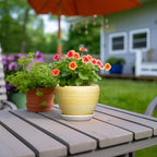 Ceramic Planter, 6 Inch Plant Pots, Textured Yellow - Image 4