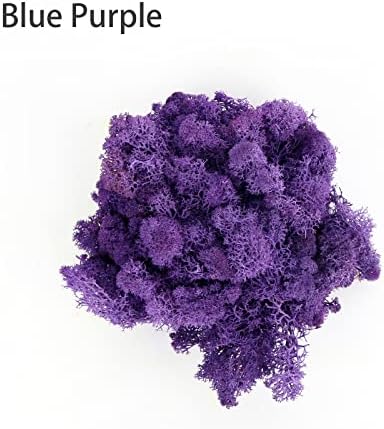Amoueterno Preserved 4 Color Reindeer Moss,Total 14OZ Each Color 3.5OZ, Natural Real Moss, DIY Kit Crafts Art Wall Decor Florist Decor,Purple - Image 4