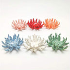 6 Pack air plant Holders (6Pcs Air Plant Containers w/6 Colors Assorted) A Ceramic Coral Set to CreateGifts or Decorate Tabletop - air plants Not Included - Image 2