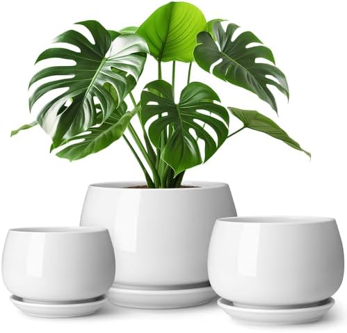 vancasso 3-Pack Ceramic Plant Pots, 3.7/4.8/6.2 Inch Indoor Planters with Saucers & Drainage Hole Planter pots for Indoor Plants and Flower, White by vancasso