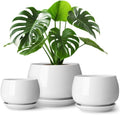 vancasso 3-Pack Ceramic Plant Pots, 7.3/9.6/11.6 Inch Indoor Planters with Saucers & Drainage Hole Planter pots for Indoor Plants and Flower, White by vancasso