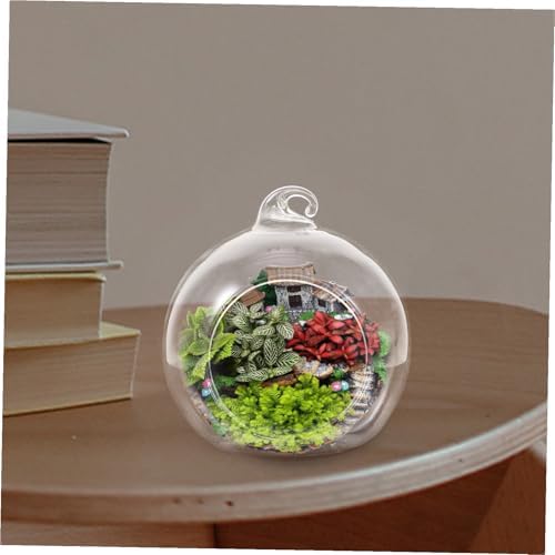 12pcs Hanging Glass Globe Terrarium for Succulent Micro Landscapes - Image 6
