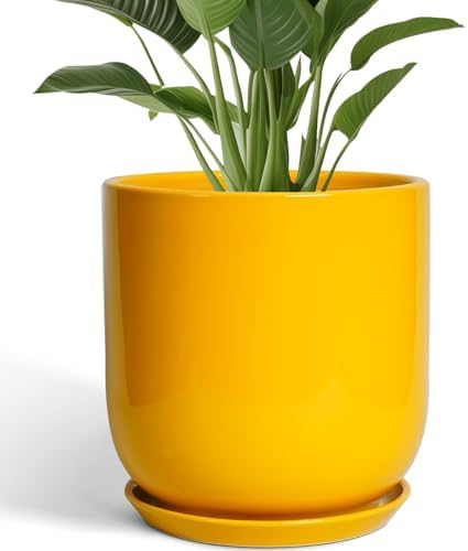 12 Inch Pots for Plants - Ceramic Planter for Outdoor Plants Large Plant Pot Indoor with Drainage Hole Modern Flower Pot for Home Patio Office Decor Yellow by SUNPOTFOR