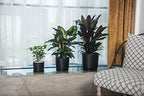 Ekirlin 9 inch Plant Pots,Ceramic Flower Planters Indoor,Modern Succulents Containers with Drain Hole Saucer,Decorate Home,Office & Outdoor (Black) - Image 6