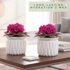 6 Inch African Violet Pots Self Watering, 2 Pack, Ceramic Pot with Water Reservoir and Fill Lines, 4 Inch Opening, Indoor Flower Planter, Holds 3 Weeks of Water - Image 7