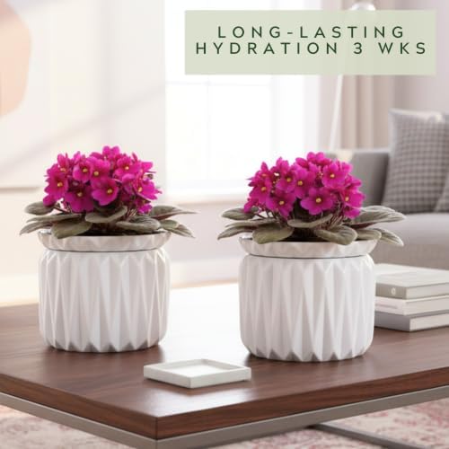 6 Inch African Violet Pots Self Watering, 2 Pack, Ceramic Pot with Water Reservoir and Fill Lines, 4 Inch Opening, Indoor Flower Planter, Holds 3 Weeks of Water - Image 7
