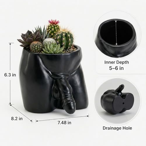 Penis Planter, Funny Plant Pots for Indoor Plants, Resin Male Body Planter Pot, Unique Succulent Pots & Cactus Pot with Drainage Hole, Naughty Gag Gift Penis Decor for Desk Bathroom，Black：Large - Image 2
