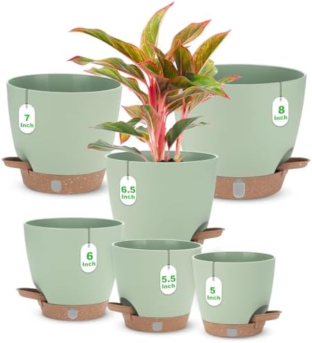 Self Watering Planter Set with Visual Water Level, 6Pack Small Plastic Pot with Drainage Holes and Reservoir Saucers, Modern 8+7+6.5+6+5.5+5 Inch Bottom Watering Flower Pots for Indoor Plant - Green by Ezmixcoop