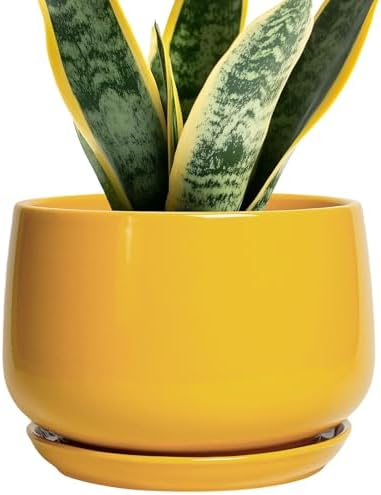 G EPGardening Ceramic Pots for Plants, 7 Inch Plant Pot, Yellow by GEPGardening