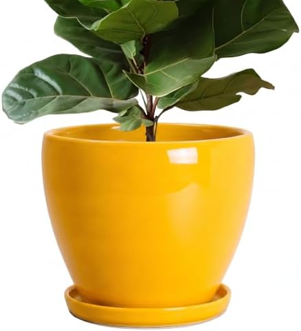Ceramic Planters, Ceramic 10 Inch Pots for Plants Indoor, Yellow by EPFamily