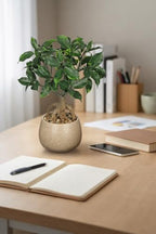 Artificial Bonsai Tree Fake Small Ficus Plant with Ceramic Pot Indoor Plant - Image 6