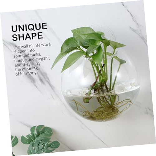VICASKY 4pcs Hanging Glass Vase Wall Decor Vases Plant Watering Globes for Indoor Houseplants Wall Propagation Planters - Image 4