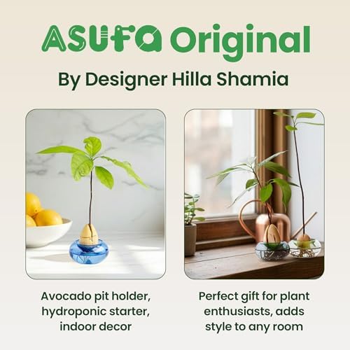 Glass Avocado Seed Vase for Growing – Hand-Blown Avocado Vase, Indoor Plant Vase and Avocado Planter Pot for Plant Growing (Light Blue) - Image 5