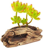 Desk Topper Vintage Decor Vintage Decor Driftwood Stump Log Concrete Planter Succulent Pot Flower Plant Pot Container for Patio Decoration Dining Table Decor Plants Decor - Image 5