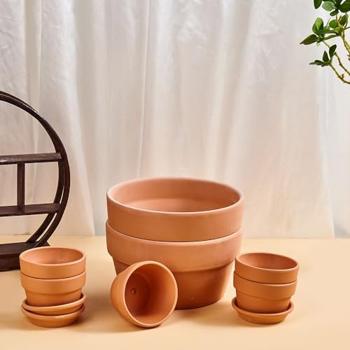8 Inch Shallow Terracotta Pot for Succulent - 2 Pcs Large Clay Planter Pots with Drainage Hole, Shallow Plant Pottery Pots for Cactus Succulent and Other Indoor Outdoor Plants - Image 5