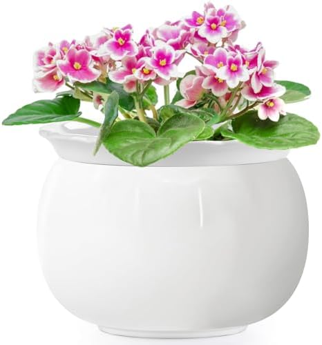 8 inch Self Watering Ceramic African Violet Pot for Indoor Plants by LITUDISO