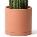 D'vine Dev Terracotta Plant Pot with Saucer, 12 Inch, 40-X-A-6 by DvineDevPlanterPotsandStand