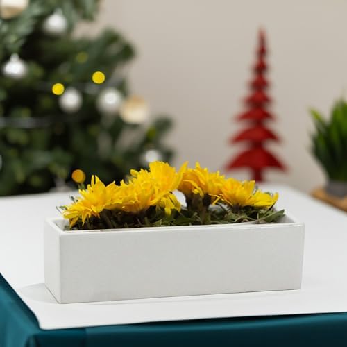 WGVI Long Rectangle Ceramic Planter Vase in White 14" x 4" x 4"H, Rectangular Box Block Terrarium Pot, Flower Arrangement, Tabletop Centerpiece, Home Decor Organization Storage Container, 4 Pcs. - Image 7