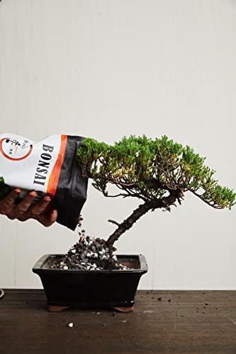 Bonsai Soil by The Bonsai Supply – 4qts. Professional Bonsai Soil Mix | Ready to use| Great for All Bonsai Tree Varieties. - Image 5