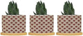 Timur in Blue Background Ceramic Planters Geometric Modern Planters for Indoor Plants with Drainage Holes and Saucers Pot for Succulents Cactus Garden Windowsill by BRUYU5SE